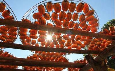 近期德国宅家美食合集(德国美食实拍)