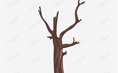 素炒干煸菜花的家常做法窍门