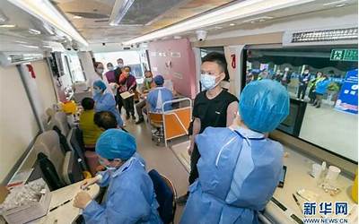 陈皮茶的正确冲泡方法（新会陈皮茶的正确冲泡方法）