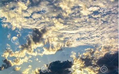 空气炸锅做炸带鱼(空气炸锅做炸带鱼的做法)