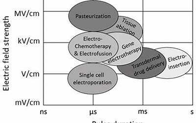 椰汁芋头芡实煲的做法