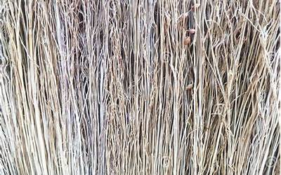 干锅菜花(干锅菜花的家常做法)