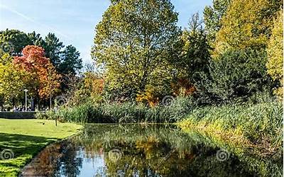 面粉摊饼的做法窍门
