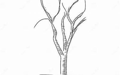 宁都肉丸子图片大全(宁都肉丸照片)