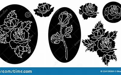 大葱白菜猪肉饺子馅的做法（大葱白菜猪肉饺子馅的做法视频）