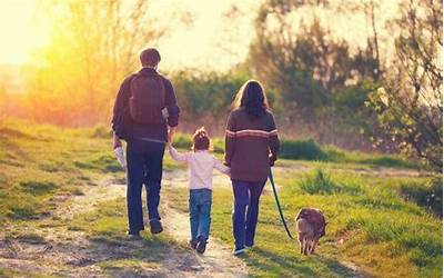 大米糕多少钱一斤(大米糕多少钱一斤啊)