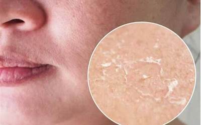 不放肉干煸菜花的家常做法（不放肉干煸菜花的家常做法窍门）