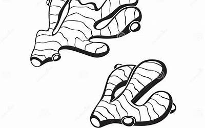 白萝卜炖猪大骨头汤(白萝卜炖猪大骨头汤的做法)