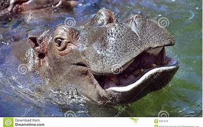 香港特产零食排行榜(香港特产零食排行榜前十名)