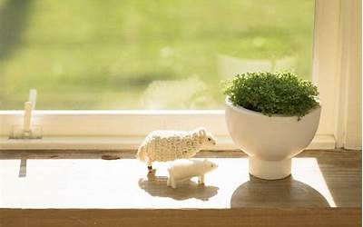 南京特产小吃送人礼盒（南京特产小吃送人礼盒多少钱）