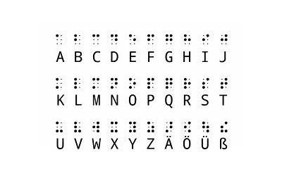 黄骨鱼炖豆腐的营养价值(黄骨鱼炖豆腐的营养价值及功效)