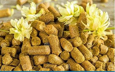 正宗五香萝卜干的做法（正宗五香萝卜干的做法大全）