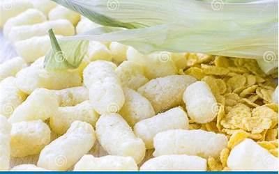 红萝卜白萝卜丸子的做法（红萝卜白萝卜丸子的做法窍门）