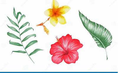 荞麦面价格多少钱一斤(荞麦面价格多少钱一斤)