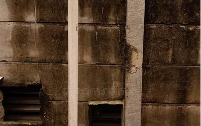 红糖糯米卷的做法窍门（红糖糯米卷的做法窍门视频）