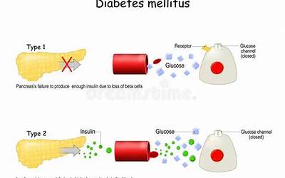 糯米粉红枣蒸糕的做法