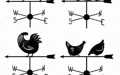 胃病断根的一味中药（胃病断根的一味中药黑叶草雀儿草的功效）