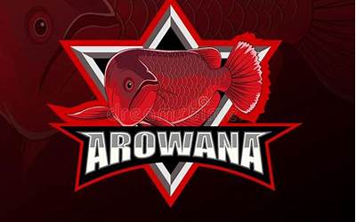 坐月子可以吃火龙果吗?(坐月子可以吃火龙果吗?凉的)