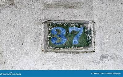 包糯米饭团的视频（包糯米饭团的视频窍门）