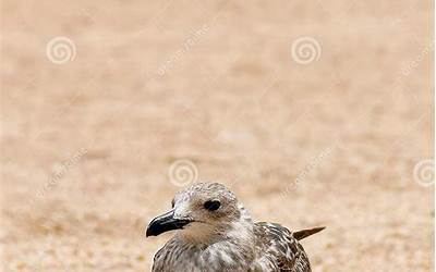 常州有名的海鲜餐厅(常州有名的海鲜餐厅有哪些)