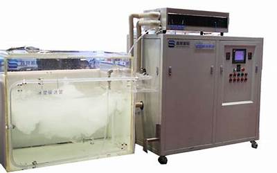 蒜蓉鱼的做法视频教程(蒜香鲤鱼的正宗做法视频)