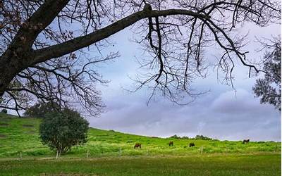 海南神上身是真的吗?（海南公祖上身科学解释）