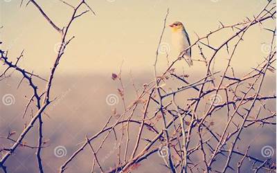 电饼铛烙韭菜饼(电饼铛烙韭菜饼的做法)