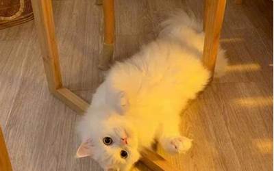 碳烤风干牛肉干做法(风干碳烤牛肉干的做法)