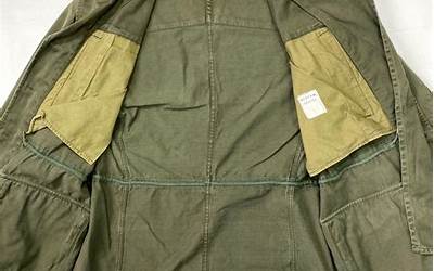 萝卜生长环境简笔画图片(萝卜生长环境简笔画图片大全)