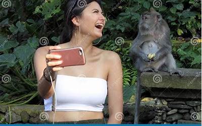 空心糯米球的做法烘焙(空心糯米球的做法烘焙视频)