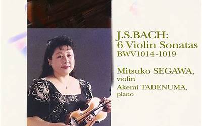 东北烀猪蹄简单做法（东北烀猪蹄的做法大全）