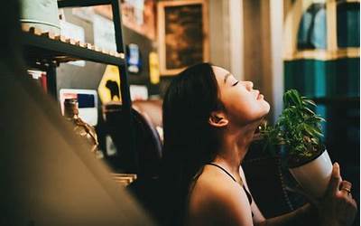 闽南男人理想(闽南男人理想图片)