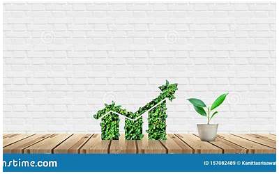 高压锅清炖牛尾汤的做法和配料（高压锅清炖牛尾汤的做法和配料窍门）