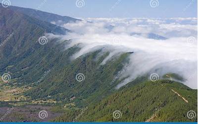 香芋夹五花肉的做法（香芋夹五花肉的做法视频）