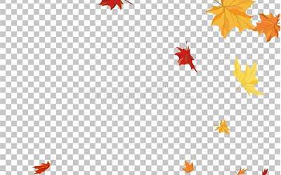 苏泊尔电饭煲煮红薯用什么模式（苏泊尔电饭煲煮红薯用什么模式好）