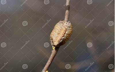 江西旅游攻略自由行路线推荐（江西旅游攻略自由行路线推荐周末边）