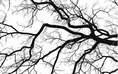 怎样用空气炸锅烤排骨窍门(怎样用空气炸锅烤排骨窍门视频)