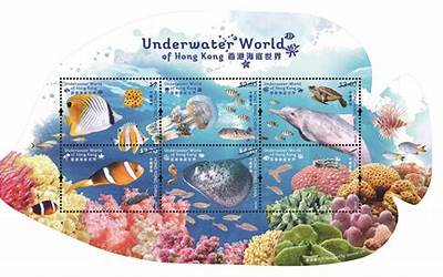 红心火龙果酵素原浆价格(红心火龙果酵素原浆的功效)