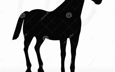 鸡内金焦馍（鸡内金焦馍的功效）