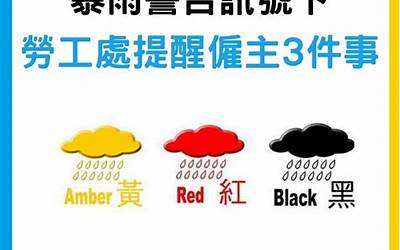 酱爆墨鱼的做法大全窍门(酱爆墨鱼的做法大全窍门视频)