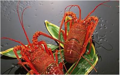 东莞厚街荣华腊肠（东莞厚街荣华腊肠店地址）