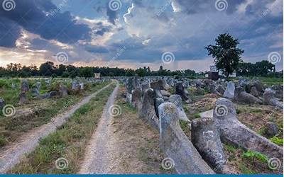 鱼片怎么切(鱼片怎么切视频教程)