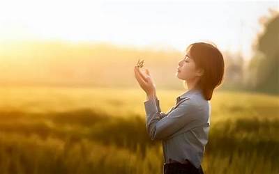 青菜炒虾仁的做法(青菜炒虾仁的做法窍门)