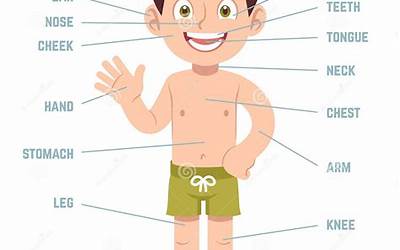 最近腋下出汗有异味是怎么回事(最近腋下出汗有异味是怎么回事,以前没有)