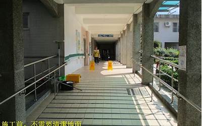 海鲜菇和什么炒最好吃