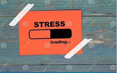 厦门博饼的来历和寓意状元筹(厦门博饼的由来和规则)