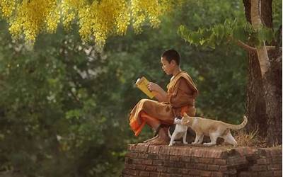 写建筑工人的作文800字（写建筑工人的作文800字高中）