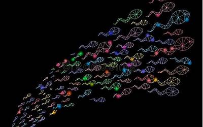 闽北指的是哪些地方（闽北指的是哪些地方呢）