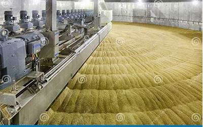 干炸猪肉丸子的做法窍门(干炸猪肉丸子的做法窍门视频)