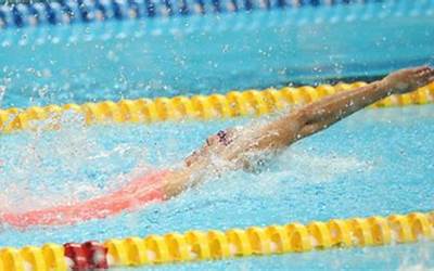 西米早餐100种做法(西米早餐100种做法视频)